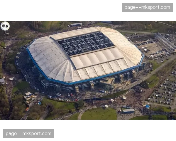 安联球场为欧冠淘汰赛阶段启用全新草皮供暖系统 安联球场为欧冠淘汰赛阶段启用全新草皮供暖系统