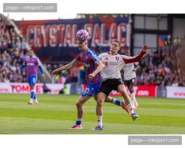 赛后评论：斯特拉斯堡主场高上座率与低商业开发效率间的矛盾